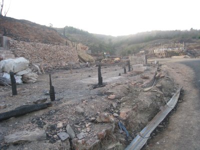 File:Kinomi no Toshi.jpg