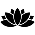 Thumbnail for version as of 03:40, 16 August 2016