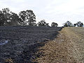 Thumbnail for version as of 22:08, 2 July 2012