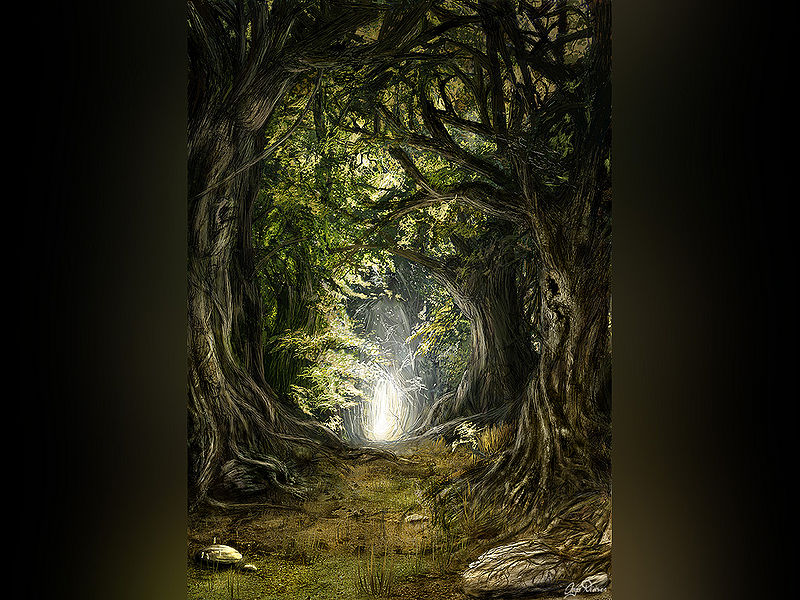 File:Alchem Forest 03.jpg