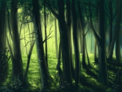 The trees are dense, narrow and tall throughout the forest.