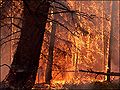 Thumbnail for version as of 02:24, 9 August 2010