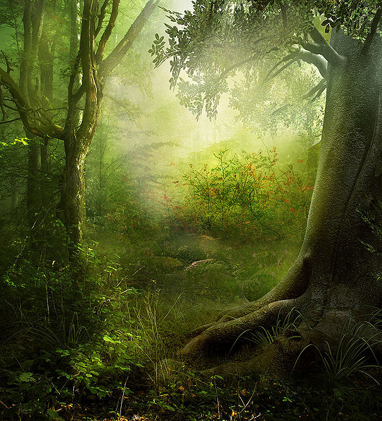 File:Alchem Forest 04.jpg