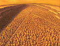 Thumbnail for version as of 02:33, 5 January 2010